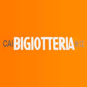 logo 65 1