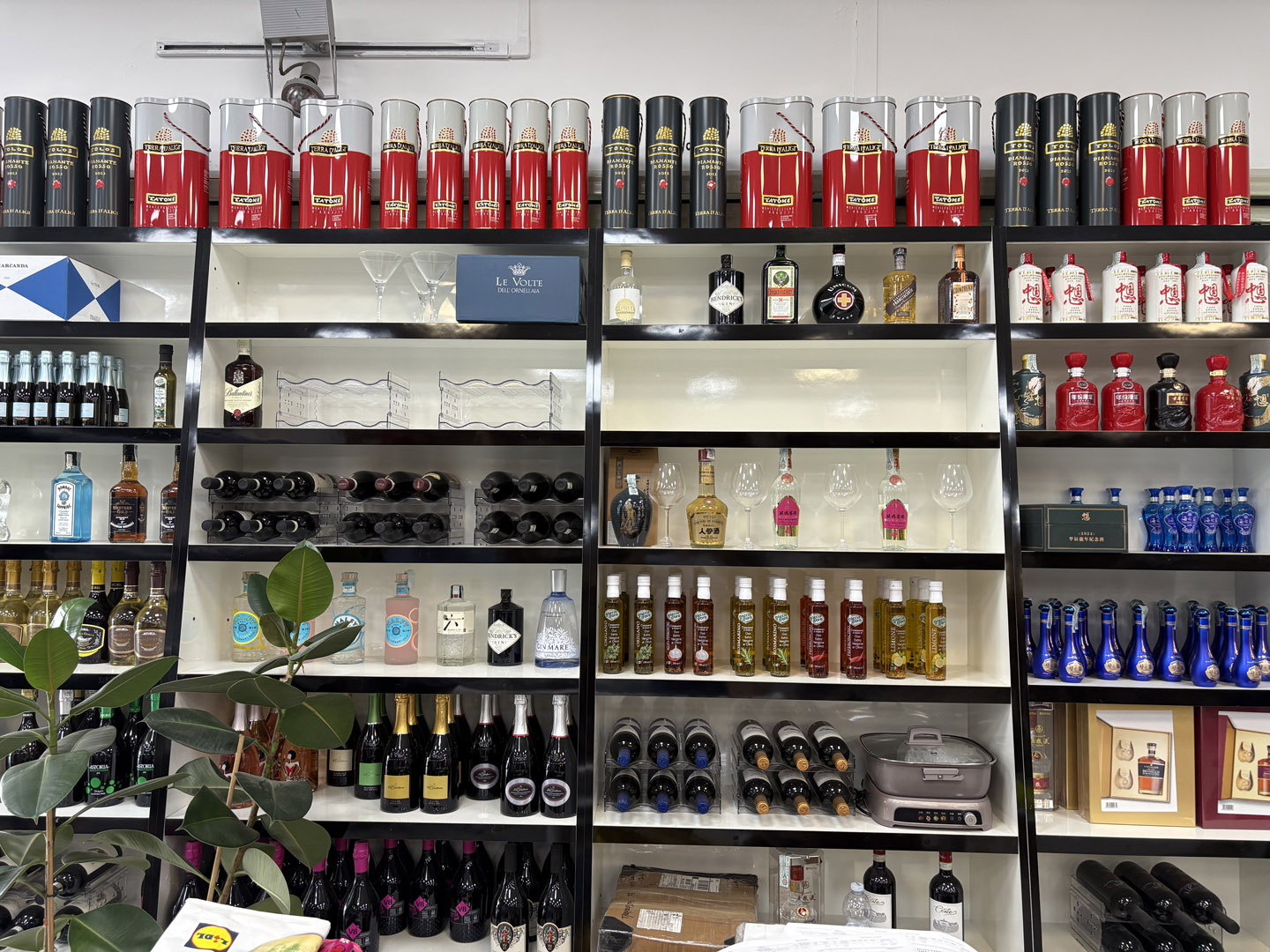 2025 06 12 12 45 09 837